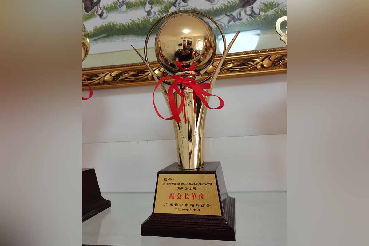 广东省湖南临湘商会副会长单位