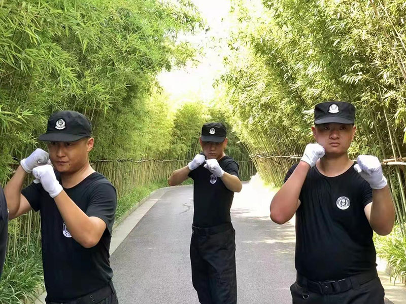 武星风采