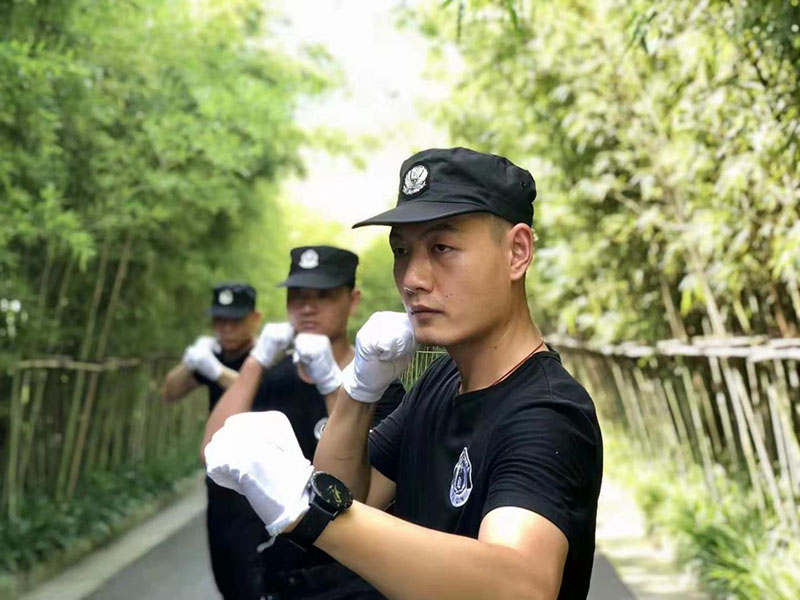 武星风采